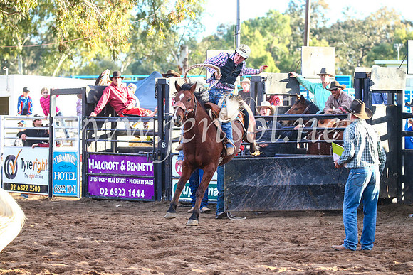 CoonambleRodeoCampdraftSun_4816