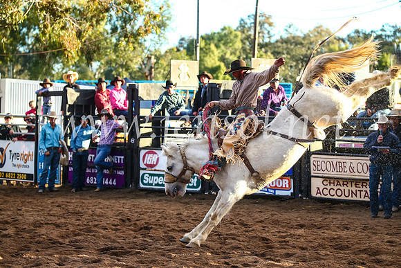 CoonambleRodeoCampdraftSun_5002