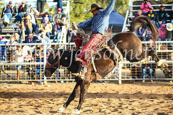 CoonambleRodeoCampdraftSun_4900