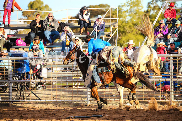 CoonambleRodeoCampdraftSun_5054