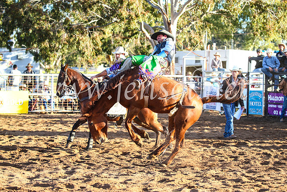 CoonambleRodeoCampdraftSun_4601