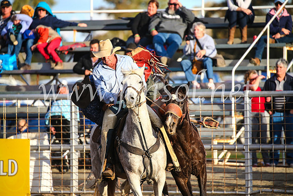 CoonambleRodeoCampdraftSun_4923