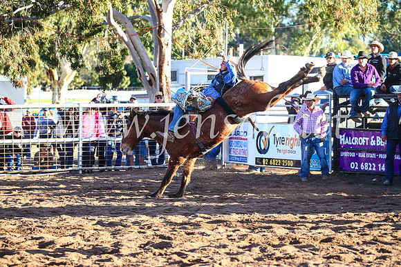 CoonambleRodeoCampdraftSun_4423