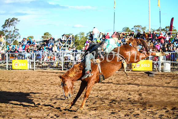 CoonambleRodeoCampdraftSun_4658