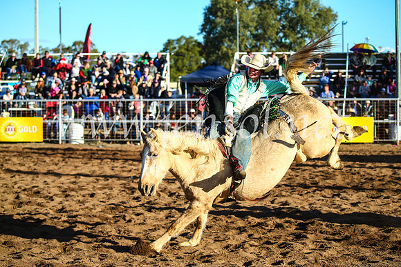CoonambleRodeoCampdraftSun_4575
