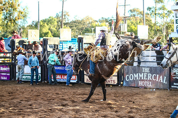 CoonambleRodeoCampdraftSun_4844