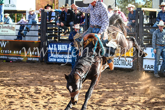 CoonambleRodeoCampdraftSun_4241