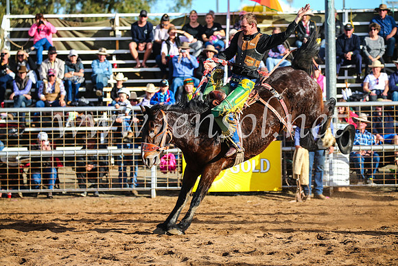 CoonambleRodeoCampdraftSun_4264