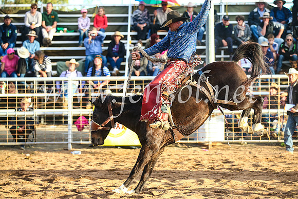 CoonambleRodeoCampdraftSun_4907