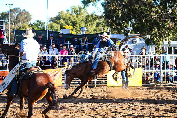 CoonambleRodeoCampdraftSun_4449