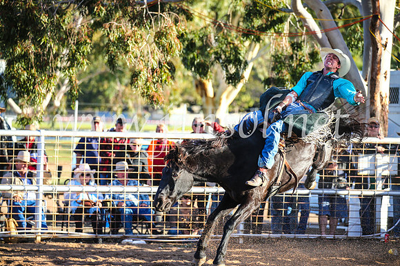 CoonambleRodeoCampdraftSun_4500