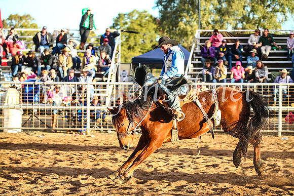 CoonambleRodeoCampdraftSun_4979