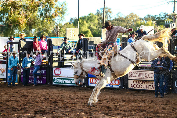 CoonambleRodeoCampdraftSun_4999