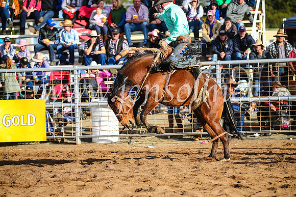CoonambleRodeoCampdraftSun_4296