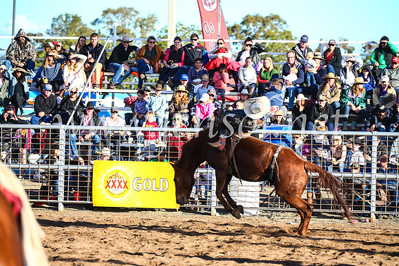 CoonambleRodeoCampdraftSun_4481