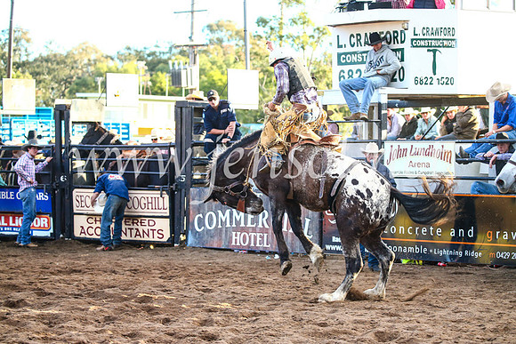 CoonambleRodeoCampdraftSun_4838