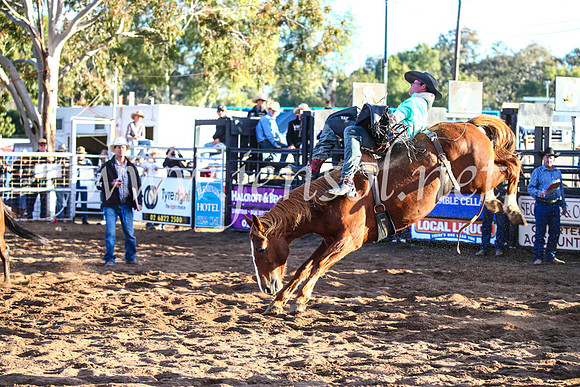 CoonambleRodeoCampdraftSun_4641