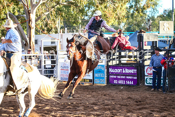 CoonambleRodeoCampdraftSun_4829