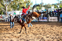 CoonambleRodeoCampdraftSun_4211