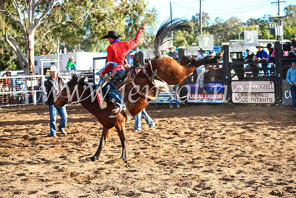 CoonambleRodeoCampdraftSun_4211
