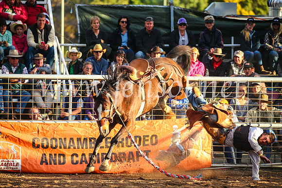 CoonambleRodeoCampdraftSun_4941