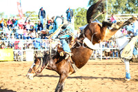 CoonambleRodeoCampdraftSun_4145