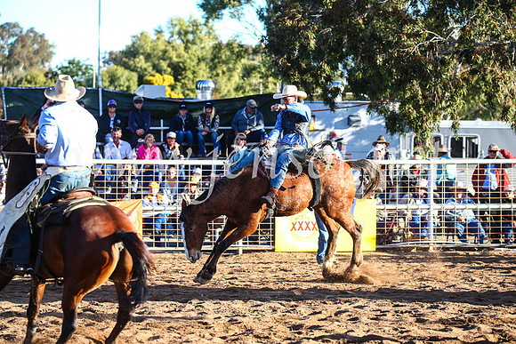 CoonambleRodeoCampdraftSun_4451