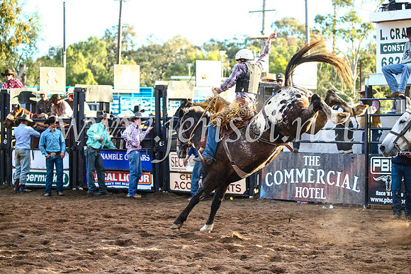 CoonambleRodeoCampdraftSun_4834