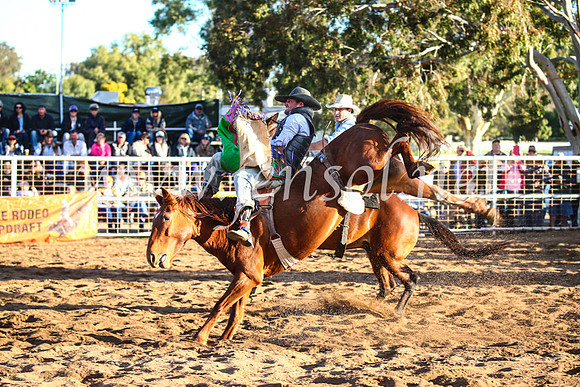 CoonambleRodeoCampdraftSun_4603