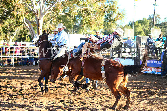 CoonambleRodeoCampdraftSun_4515