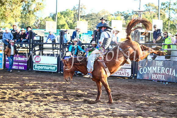 CoonambleRodeoCampdraftSun_4595