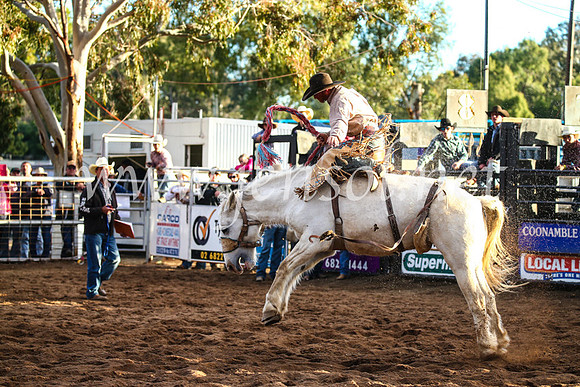 CoonambleRodeoCampdraftSun_4996