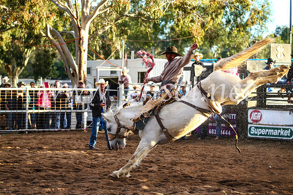 CoonambleRodeoCampdraftSun_5011