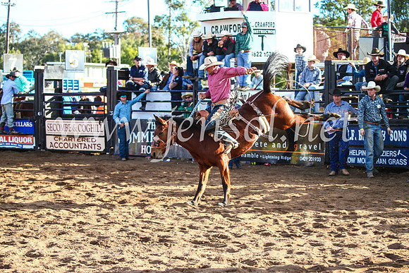 CoonambleRodeoCampdraftSun_4155