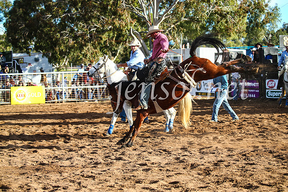 CoonambleRodeoCampdraftSun_4159