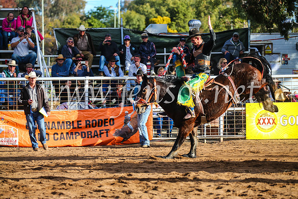 CoonambleRodeoCampdraftSun_4243