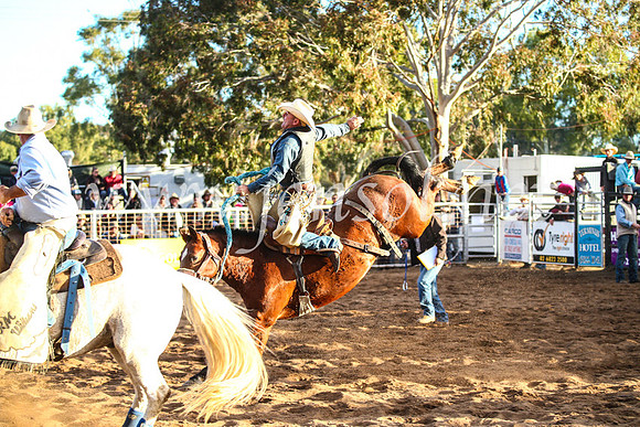 CoonambleRodeoCampdraftSun_4874