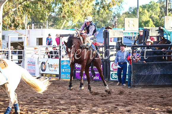 CoonambleRodeoCampdraftSun_4827