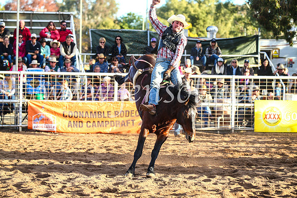CoonambleRodeoCampdraftSun_4788