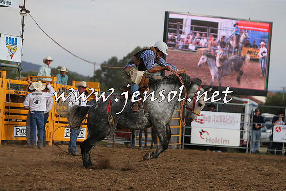 QueanbeyanRodeo2015_3841