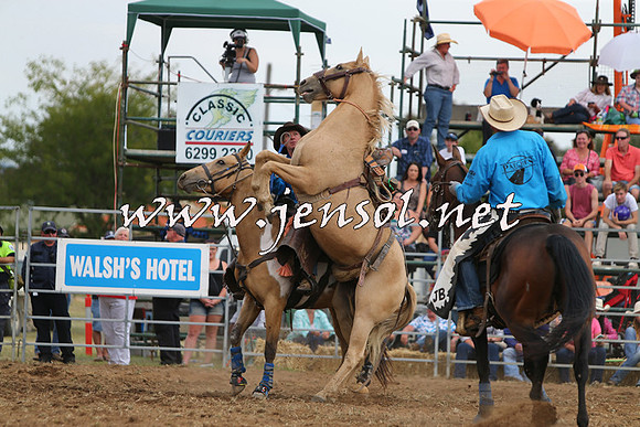 QueanbeyanRodeo2015_2658