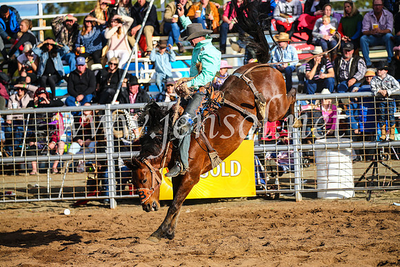 CoonambleRodeoCampdraftSun_4297