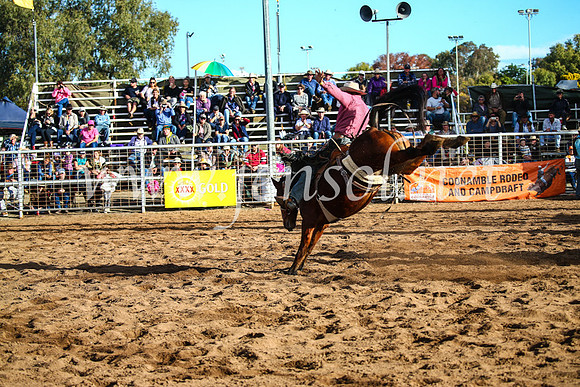 CoonambleRodeoCampdraftSun_4190