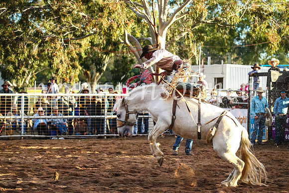 CoonambleRodeoCampdraftSun_5014