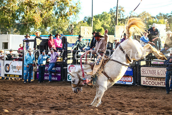 CoonambleRodeoCampdraftSun_5003