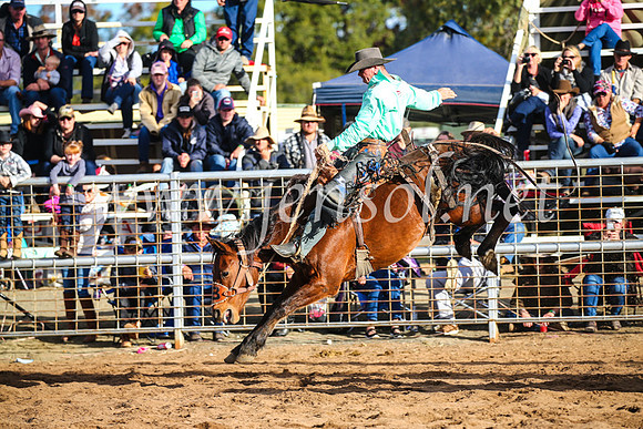 CoonambleRodeoCampdraftSun_4302