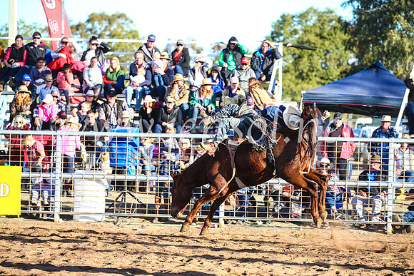 CoonambleRodeoCampdraftSun_4474