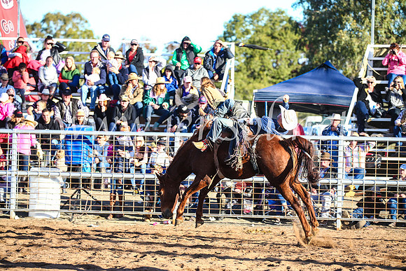 CoonambleRodeoCampdraftSun_4475