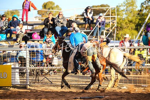 CoonambleRodeoCampdraftSun_5057