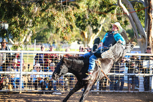 CoonambleRodeoCampdraftSun_4503
